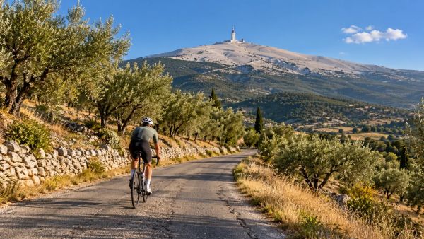Votre source incontournable d’actualités sur la presse sportive